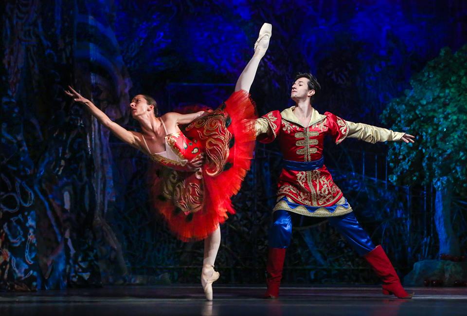 Балет жар птица стравинский год. Что такое опера балет петрушка. Стравинский жар птица кратко о балете. Балет жар птица стравинский 1910. Стравинский балеты кратко.