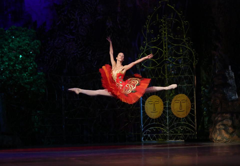 Мариинский театр жар птица Мариинский театр жар птица