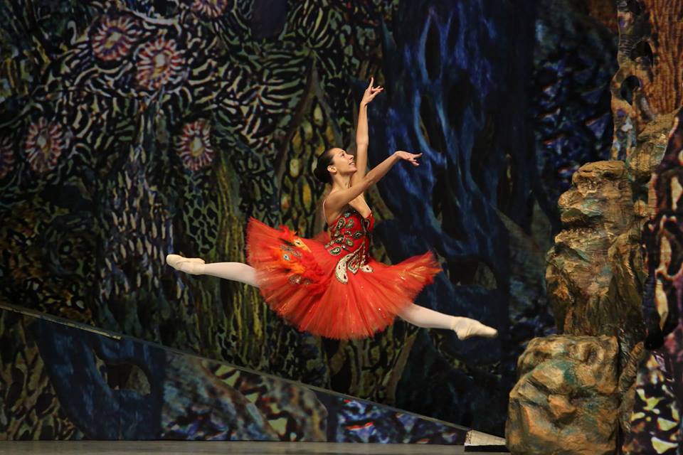 Мариинский театр жар птица Мариинский театр жар птица